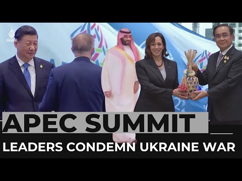 APEC Summit: Most Asia-Pacific leaders condemn Ukraine war