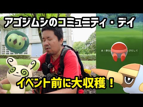 【ポケモンGO】イベント前に大収穫！アゴジムシのコミュニティデイ @hikobon