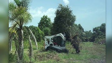 Danuser INTIMIDATOR in action on the farm!  Pulling out unwanted shrubs and trees!