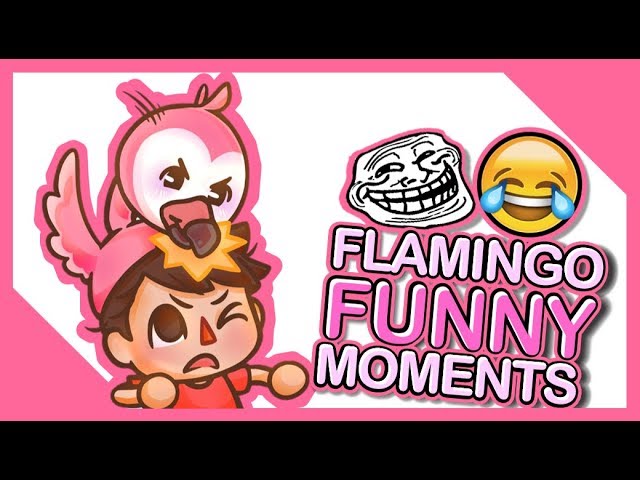 Flamingo Funny Moments Youtube - clip roblox funny videos with flamingo clip roblox