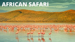 EPIC African SAFARI!! Lake Nakuru National park, KENYA by Over Yonderlust 1,430 views 4 years ago 13 minutes, 21 seconds