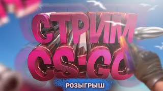 Stream CSGOl РозыгрыШ ТУТ l Стрим кс го l Играем со зрителями