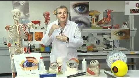 Lágrimas: como se producen