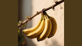 Sunyi Api Jatuh Angin