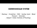 Cardiovascular System Explained in Detail | Heart Anatomy, ECG, Cardiac Cycle &amp; Blood Pressure