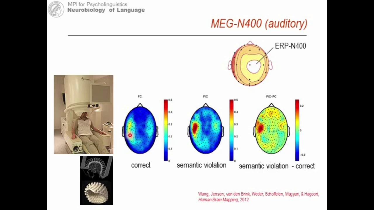 Unification for ‘on the fly’ production and comprehension of language