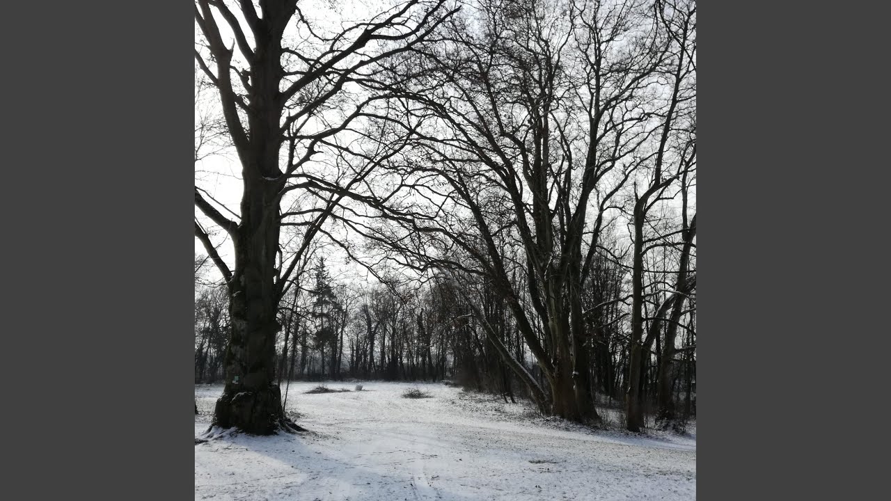 Glaub dir niemals was du denkst