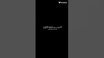 قرآن الكريم #roblox #شلتنا #اكسبلور #محركات #automobile #روبلوكس #اكلتك #لايك #دويتو