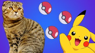 Cat vs Pokemons- My kitten meets Pikachu