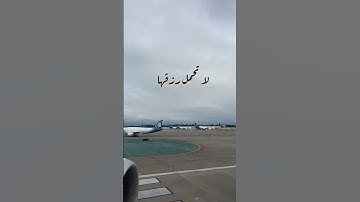 و كأين من دابة لا تحمل رزقها ... آيات من سورة العنكبوت بصوت القارئ عبدالرحمن مسعد