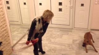 Staff Pitbull Vs Natasa