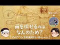 [ フォアハンドの面のロールについて ] 面を伏せるのはなんのため？【ゆっくり解説】