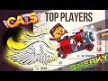 Random 'Top List Fights' with funny Sneaky Build | Cats Game Crash Arena Turbo Star