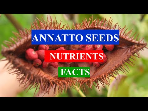 Annatto Seeds - Health Benefits And Nutrients Facts