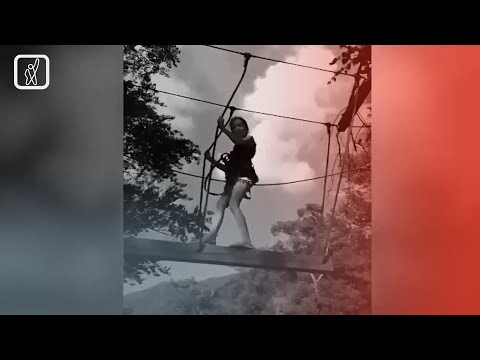 ანი იანუშაიტიტეს საქმე