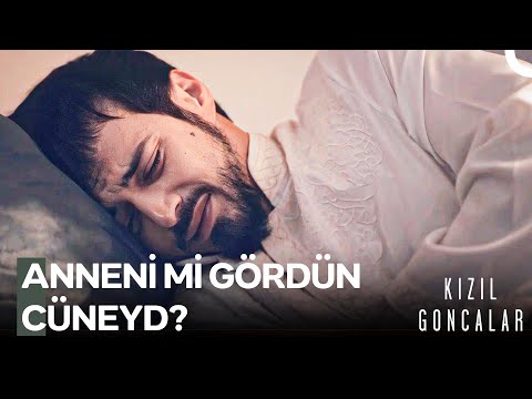 Küçük Bir Erkek Çocuğu Gibi... - Kızıl Goncalar 14. Bölüm