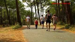 Camping Le Vieux Port - Frankreich - Les Landes -  Messanges