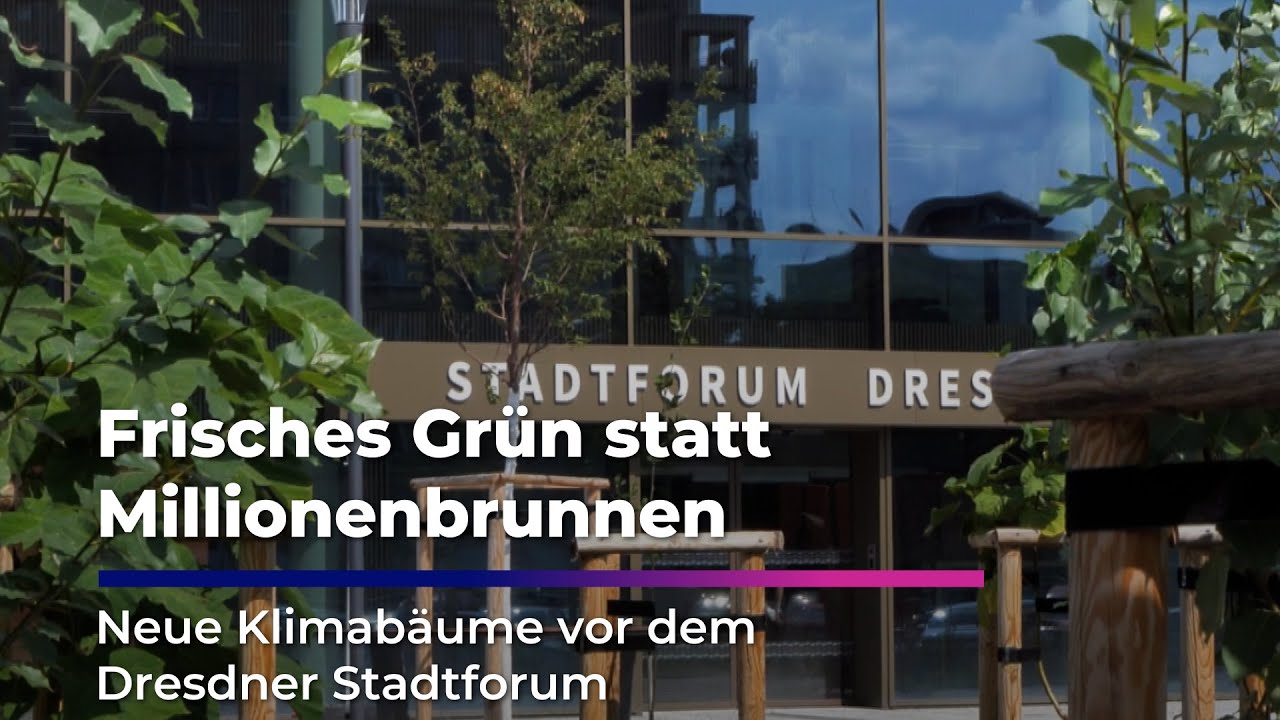 Neue Klimabäume vor dem Dresdner Stadtforum I Sachsen Fernsehen