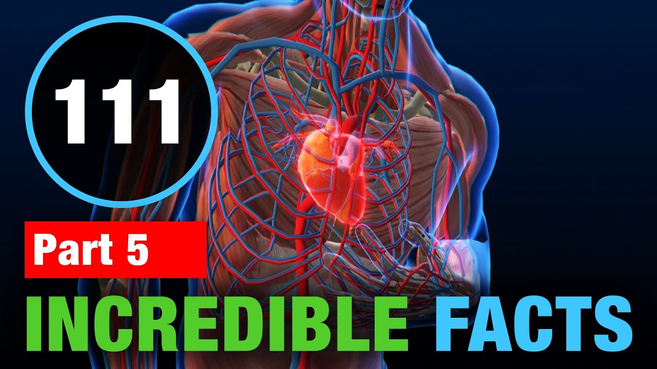 111 Incredible Random Facts That Will Blow Your Mind! - YouTube