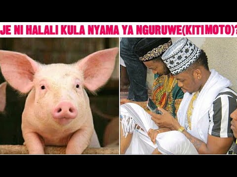 Video: Kwa Nini Huwezi Kula Nyama Ya Nguruwe