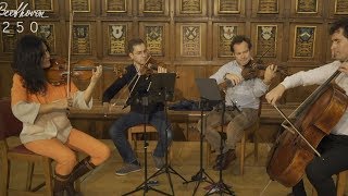 Belcea Quartet: Beethoven String Quartets at Wigmore Hall Wealth