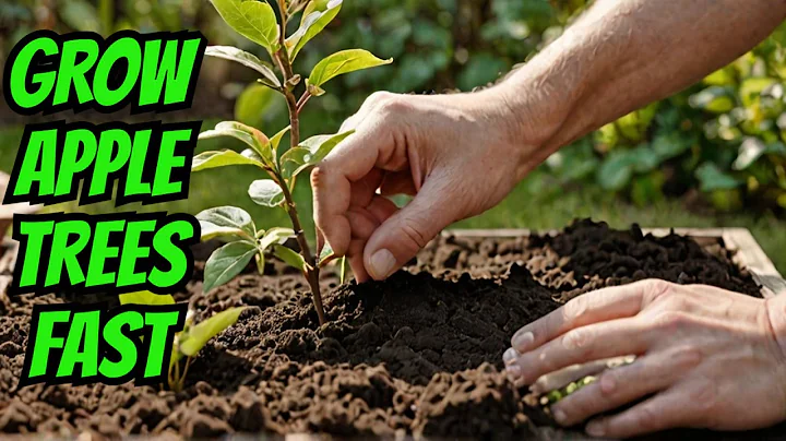 The SECRET to growing apple trees from cuttings 🍏