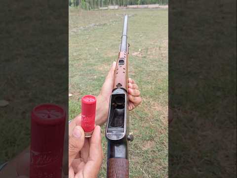 W W Greener GP Martini 12 Gauge Single Barrel Shotgun 