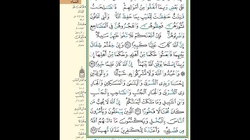 القرآن الكريم سورة النساء صفحة 84 ٨٤ بصوت القارئ محمد صديق المنشاوي