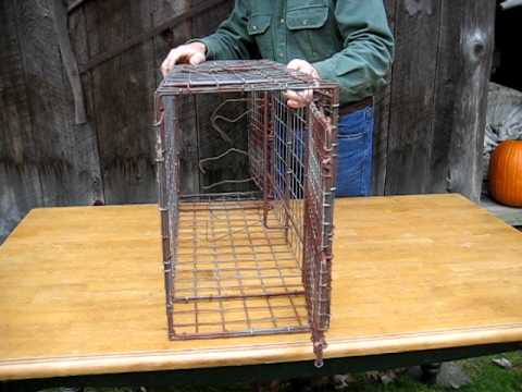 рыба в садке. разыскивается живым или мертвым. живым или мертвым плакат. настоящие русалки. ловушка малеза.