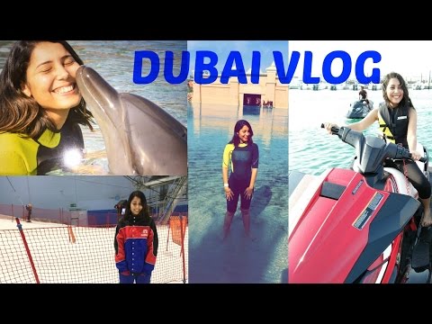 Vlog#2 |DUBAI TRAVEL VLOG | Dolphin Bay,Ski Dubai…