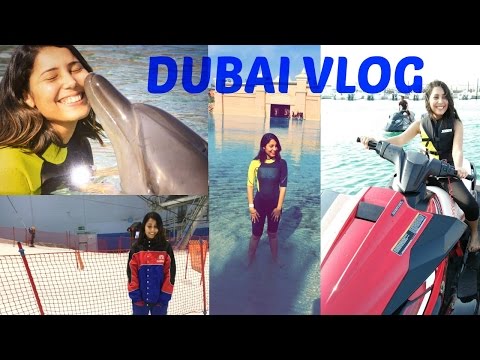 Vlog#2 |DUBAI TRAVEL VLOG | Dolphin Bay,Ski Dubai…