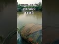 #foryou #mijanur_rahman_ajhari #new #islamicknowledg #youtube #motivation #shortvideo #dua #all #yt