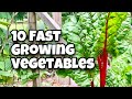 10 Fast Growing Vegetables You Can Harvest in 30 Days Or Less