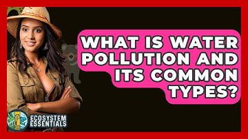 What Is Water Pollution And Its Common Types? - Ecosystem Essentials