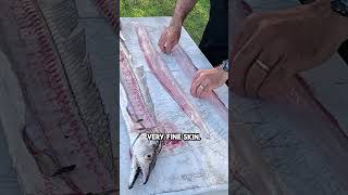 Weirdest Fish Ive Ever Filleted