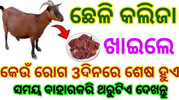 Odia Gk 2024 | Gk Questions And Answers | General Knowledge Odia | Gk Quiz | Best Gk | Gk Adda | Gk