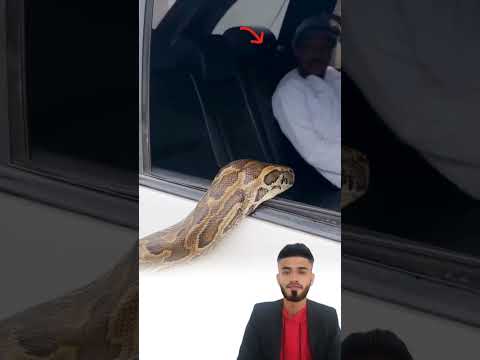الخوف من الثعابين فطرة تحفظ الإنسان من غدرها اكسبلور دويتو لايك Foryou Funny Freefire