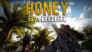 Badger of the Honey - Insurgency Sandstorm