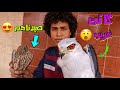 صنعت مصيدة لصيد الصقور ولكنها اصطادت كائن غريب مغامرة صيد الصقور الشرياص كاملة 
