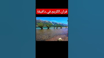 سورة.التوبة.سعود.الشريم #quran #المصحف #flowers #اكسبلور #duet #لايك #ترند #احترم احترم.القران.دق.