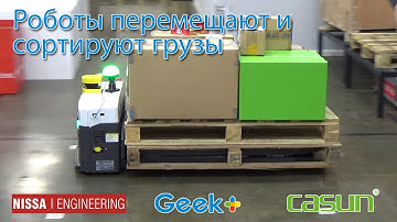 Роботы Casun, Geek+ передвигают и сортируют грузы в компании Нисса Инжиниринг