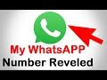 My whatsapp number reveled tech urdupk