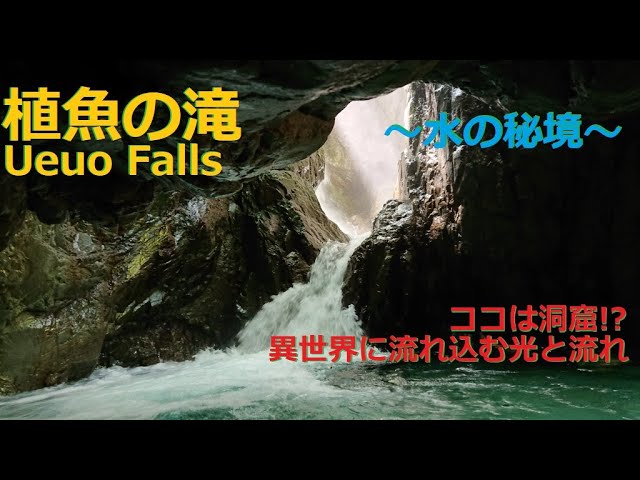 植魚の滝 Ueuo Falls 和歌山南紀 古座川 ココは洞窟 流れ込む光と清流 水の秘境 Youtube