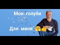 Голуби(без комментариев) для себя Doves (no comment) for yourself