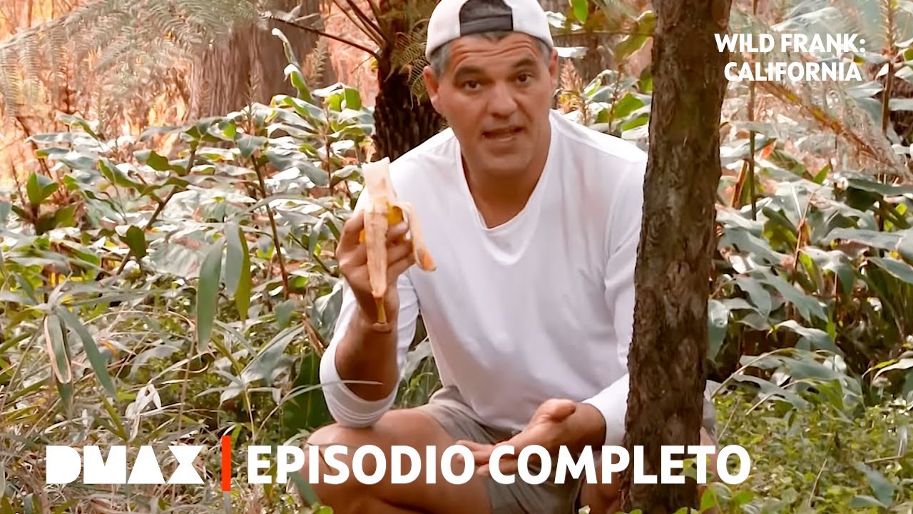 Encuentro con ballenas azules: la criatura más grande del planeta | Ep. 4 | Wild Frank en California