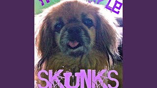 Video thumbnail of "The Purple Skunks - Melancholy (feat. the Pug Shirts)"