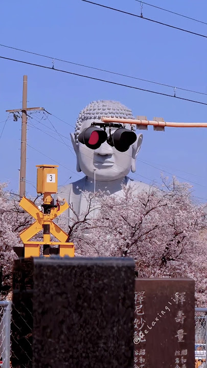 Sometimes, don't trust your eyes #asmr  #funny #odlysatisfying #satisfying #fyp #illusion