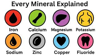 Every Mineral Your Body Needs Explained