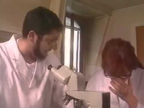 PUB - Les Nuls - La mouche qui pète
