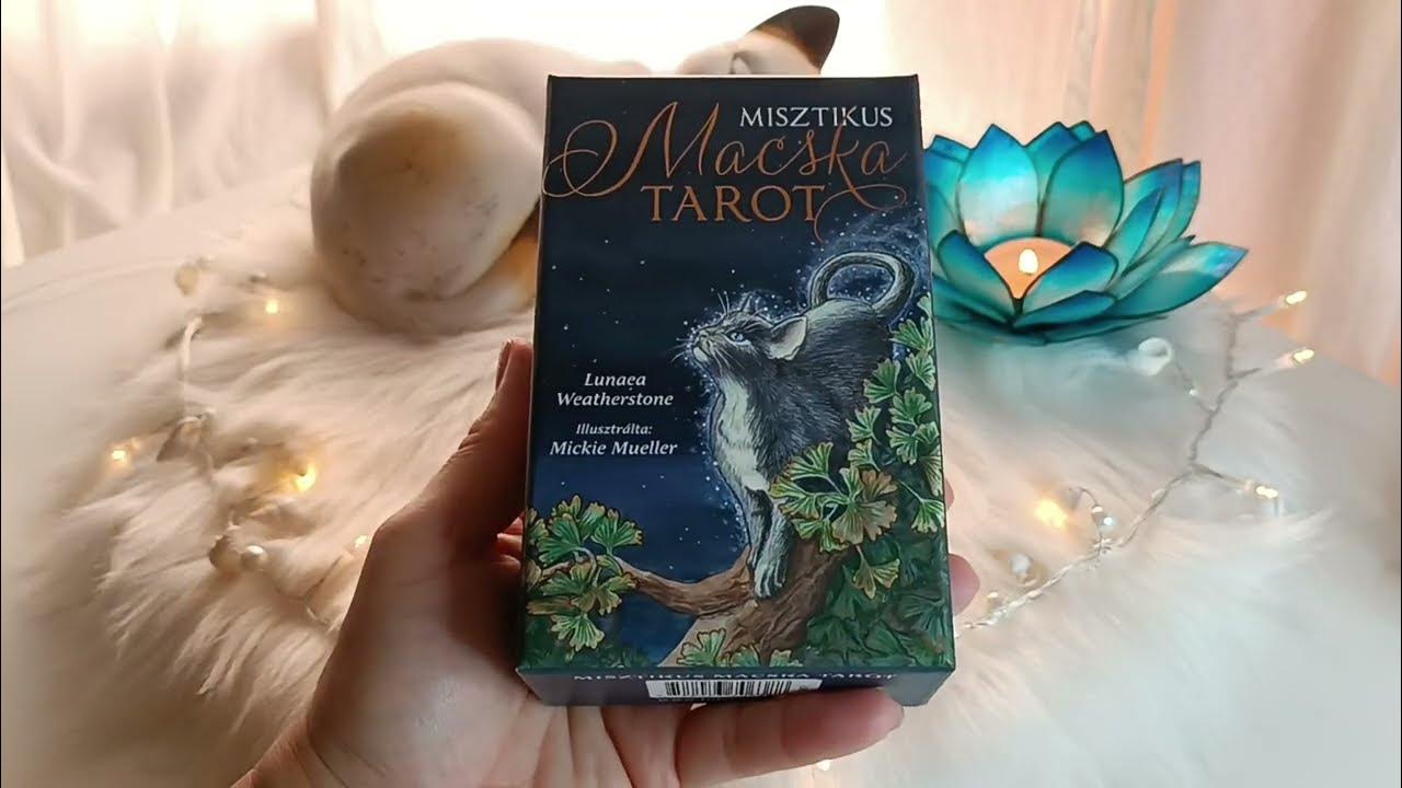 🔮😸 Misztikus Macska Tarot bemutatása 😸🔮 - YouTube